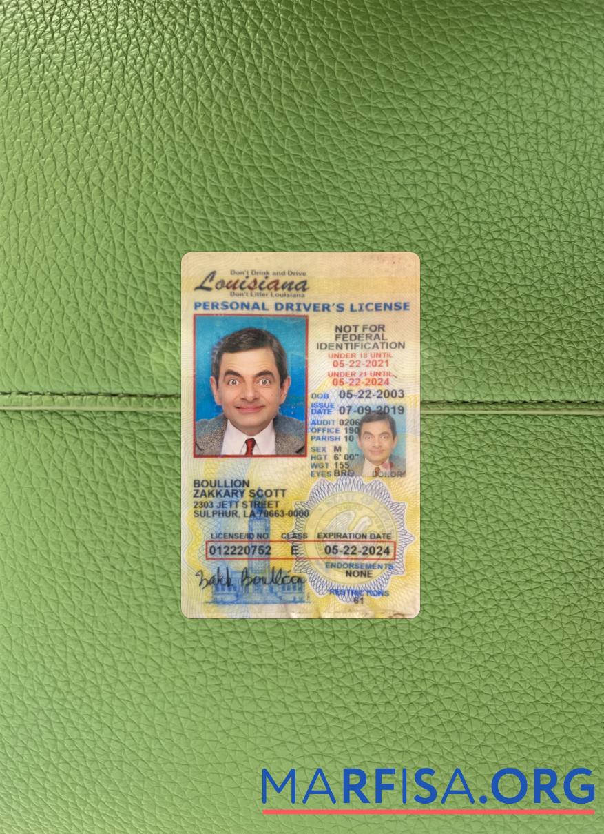Printable USA Louisiana under 21 driving license photolook real example